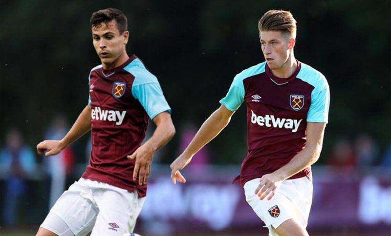 豪的回歸對 豪的回歸對